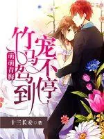 《萌萌青梅：竹马驾到宠不停》封面