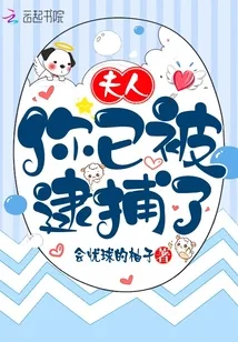 《夫人你已被逮捕了》封面