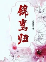 《锦鸾归》封面