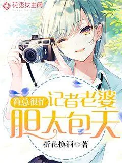 《简总很忙：记者老婆胆大包天》封面