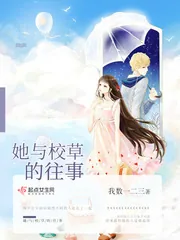 《她与校草的往事》封面