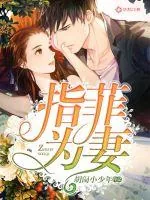 《指菲为妻》封面