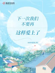 《下一次我们不要再这样爱上了》封面