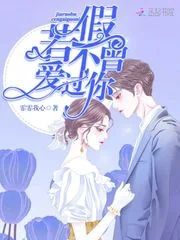 《假若不曾爱过你》封面