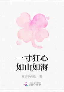 《一寸狂心如山如海》封面
