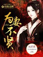 《为妻不贤》封面