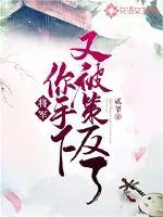 《将军，你手下又被策反了！》封面