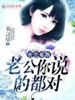 《蜜恋难断：老公你说的都对》小说封面