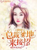 《天降萌宝：总裁爹地来接招》封面