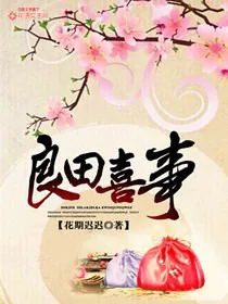 《良田喜事》小说封面
