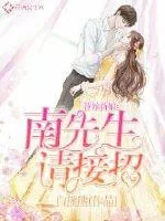 《替嫁新娘：南先生，请接招》封面