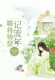 《聊将锦瑟记流年》封面