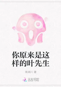 《你原来是这样的叶先生》封面