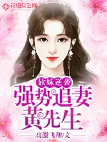 《软妹逆袭：黄先生强势追妻》封面