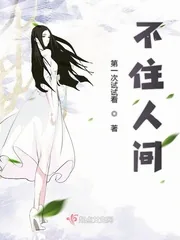 《不住人间》小说封面