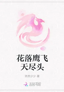 《花落鹰飞天尽头》封面