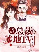 《一胎双宝：总裁爹地1V1》封面
