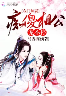 《农门辣妻之痴傻相公追妻忙》封面