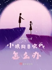 《小狼狗喜欢我怎么办》封面