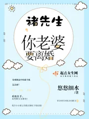 《褚先生，你老婆要离婚》封面