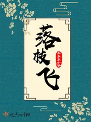 《落枝飞》封面