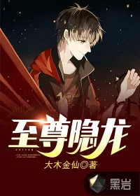 《至尊隐龙》封面