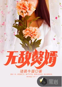 《无敌赘婿》封面