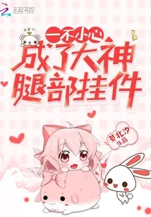《一不小心成了大神腿部挂件》封面