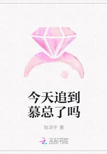 《今天追到慕总了吗》封面