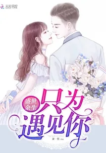 《盛世余生只为遇见你》封面