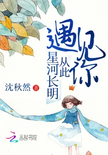 《遇见你从此星河长明》封面