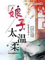 《娘子太温柔》小说封面