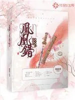 《凤凰错：寻觅天涯不归人》封面