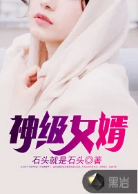 《神级女婿》封面
