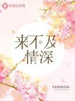 《来不及情深》封面