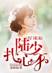 《名门私宠，陆少扎心不》封面