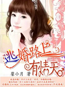 《逃婚路上有情天》封面
