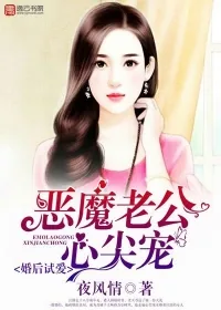 《婚后试爱，恶魔老公心尖宠》封面