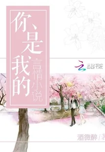 《你是我的言情小说》封面