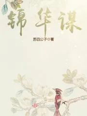 《锦华谋》封面