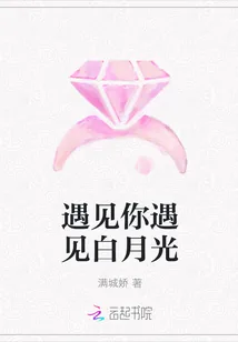 《遇见你遇见白月光》封面