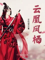 《云凰凤栖》封面