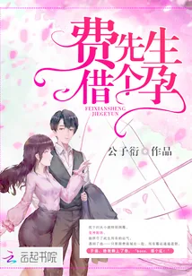 《费先生，借个孕》封面