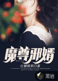 《魔尊邪婿》封面