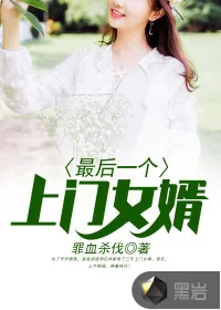 《最后一个上门女婿》封面