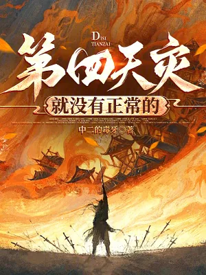 《第四天灾就没有正常的》小说封面
