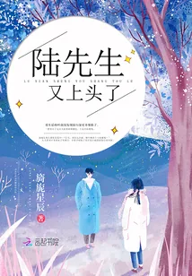 《陆先生又上头了》封面