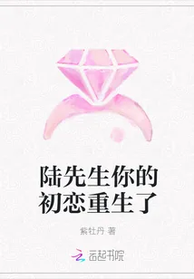 《陆先生你的初恋重生了》封面