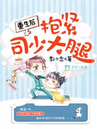 《重生后抱紧司少大腿》封面