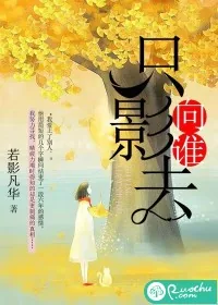 《只影向谁去》封面